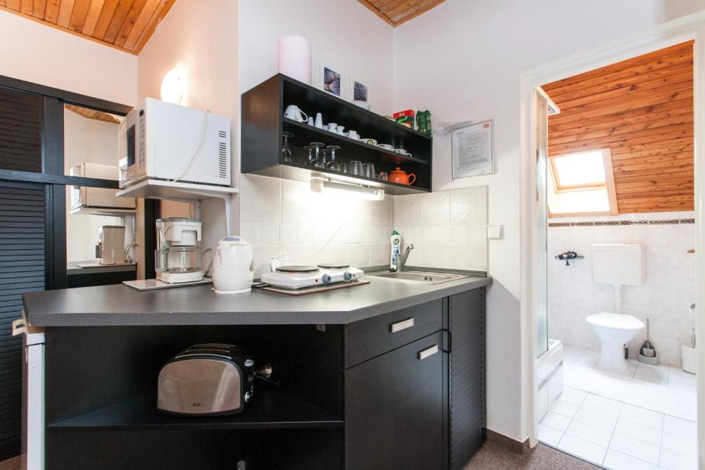 Apartmány Nový Svět 548 room 4